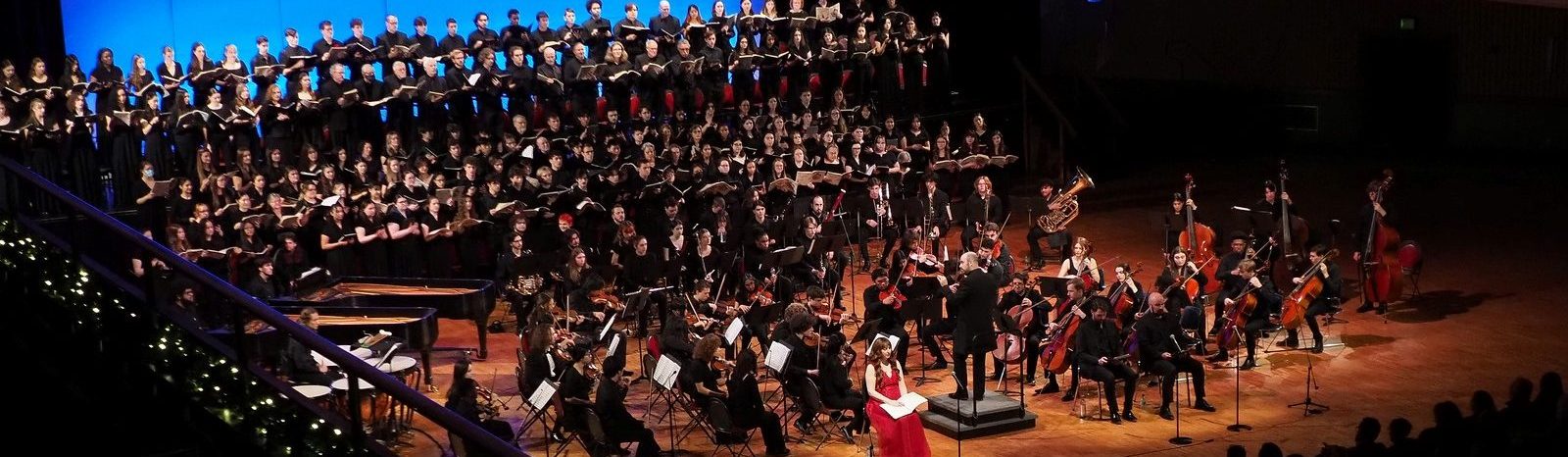 Orchestra